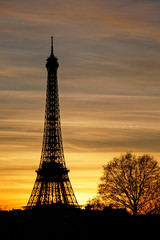 Fototapeta na wymiar Paris, France - February 13, 2019: Eiffel tower at sunset viewed from Tuileries garden