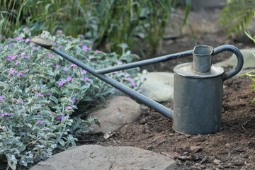 watering can in the garden