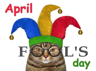 The funny cat is wearing a jester hat and glasses. April fools day. White background. Isolated.