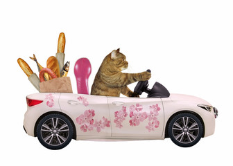 The cat drives a car painted with beautiful pink flowers with a grocery bag full of food. White background. Isolated.