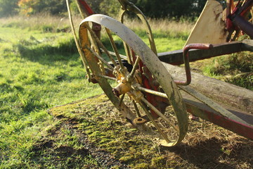 old wagon wheel
