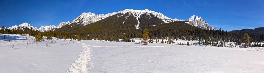 Fototapeta na wymiar Distant Snowy Mountain Peaks Wide Panoramic Landscape in Banff National Park Snowshoeing Remote Backcountry Wilderness of Sawback Range above Johnston Canyon in Springtime