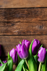 Beautiful purple tulips on dark rustic background