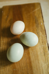 Natural green egg, olive egger, white egg and brown,