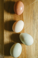 Natural green egg, olive egger, white egg and brown,