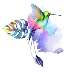 Hummingbird bird surrounded by tropical leaves © iakovetssvetlana