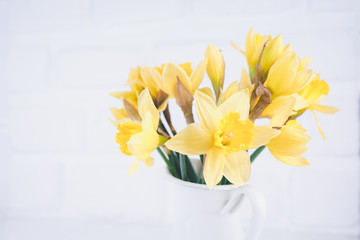 Jar with narcissuses at the white brick background. Spring, mothers day and Easter concept