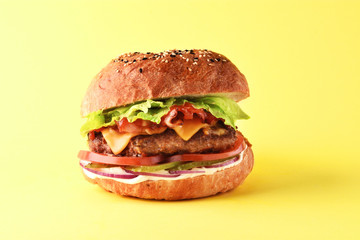 Burger on yellow background