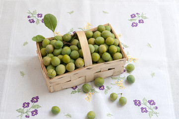 Freshly picked mirabelle plums, Plums fruits in basket, Healthy fruit, all natural bio dynamic and ecological ripe mirabelles