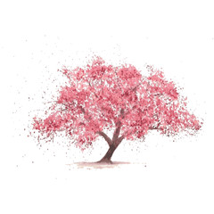 Fototapeta premium Sakura tree in bloom. Cherry blossom