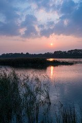 Danube Delta, UNESCO WORLD HERITAGE, Tulcea County, Romania, Europe