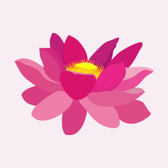 Lotus flower. Pink lotus. Flower. Vector illustration. EPS 10.