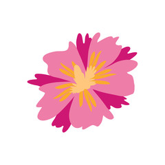 Flower. Plant. Flower pink. Vector illustration. EPS 10.