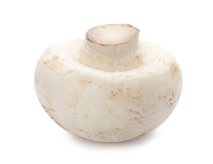 Fresh raw champignon mushroom on white background