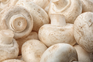 Fresh raw champignon mushrooms as background, closeup