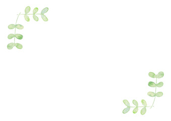 Watercolor  hand drawn  herbs  leaves（3）