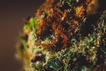 Medical Cannabis CBD THC Trichomes - macro view.