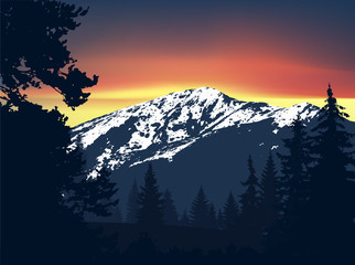 Panorama of mountains. Silhouette of mountains with snow and coniferous trees on the background of colorful sky.