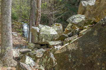Fallen rocks in forest at base of gorge
