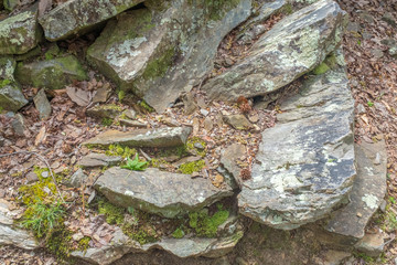 mossy rock wall in gorge