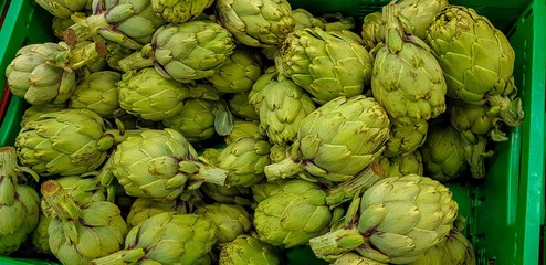 Background of fresh artichokes