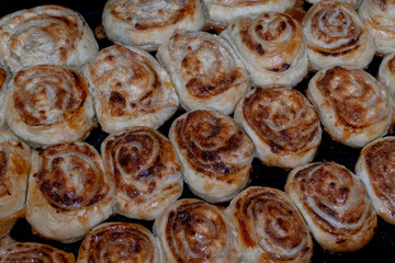 sweet cheese pancakes on a plate on a white background
