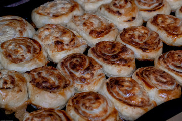 sweet cheese pancakes on a plate on a white background