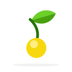 Yellow cherries vector flat material design isolated object on white background.