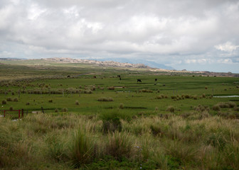 Fototapeta premium The view alongside route 34 in Altas Cumbres (high peaks), Cordoba, Argentina.