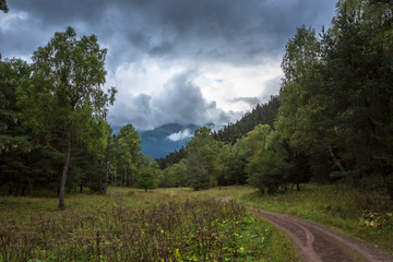 Mountains and nature of the North Caucasus, beautiful view of the mountain gorge