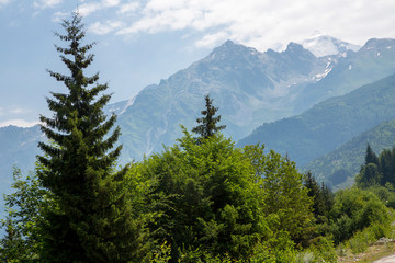Mountains and nature of the North Caucasus, beautiful view of the mountain gorge