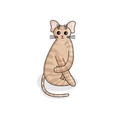 Vector Character of Devon Rex Cat in Kawaii Style. Cute Cartoon Kid Character. Funny Kitten isolated on White Background. Sticker of Kawaii Animal, Pet. Flat design. Usable for Children's Book
