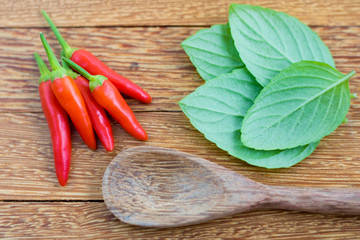 Red hot chili pepper and basil leaves wood background