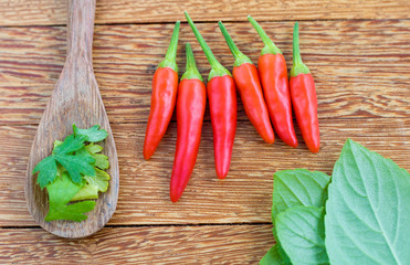 Red hot chili pepper and basil leaves wood background