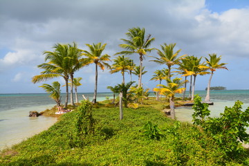 Fototapeta na wymiar Îles San Blas, Caraïbes Panama - San Blas Islands Caribbean Panama 