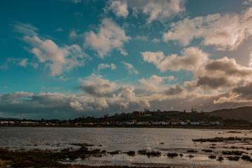 California Dreaming in Winter