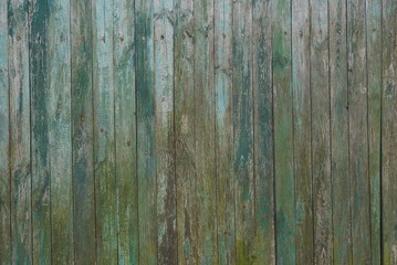 Fototapeta na wymiar colored wooden texture from thin old fence boards