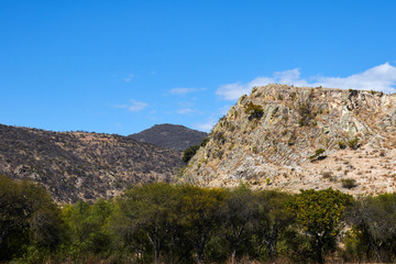 mount of yellow rock in front of a barrier of trees