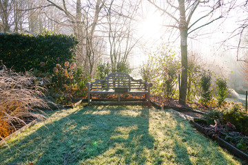 Winter at the pond in natural beautiful garden. A landscape view on a summer morning in frost & sunlight of a garden, plant borders, green frosty grass lawn brown and wood bench.