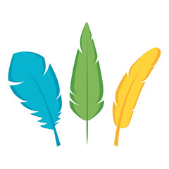 feathers exotic isolated icons
