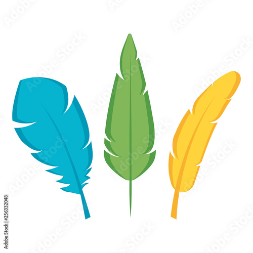 feathers exotic isolated icons