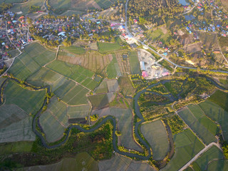 Fototapeta premium Aerial view of thailand rice field, drone shot