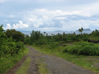 Fototapeta na wymiar Samoa Beaches and Palm Trees