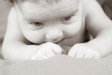 Portrait of a beautiful newborn baby