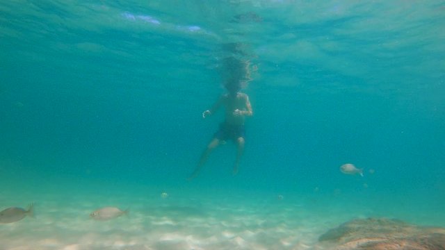 4k Slowmotion shot of young caucasian man snorkeling in a mask and breathing tube in a a beautiful sea with lots of tropical fishes