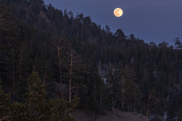 Full moon rising over the Siberian taiga