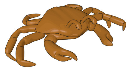 Eight walking legs shellfish animal vector or color illustration