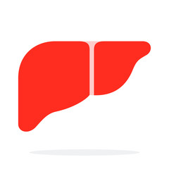 Human liver vector flat material design isolated object on white background.