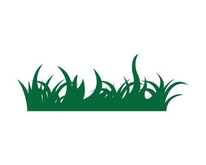 grass vector illustration template