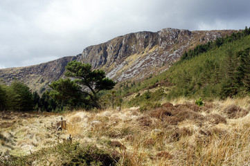 Spring in the mountains. Landscapes of Ireland.